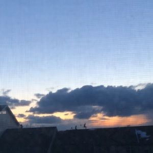 Meet your Posher, Marly